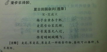 稀什么意思?近义词和反义词是什么?英文翻译是什么?