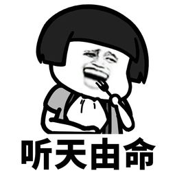 我的意思是?