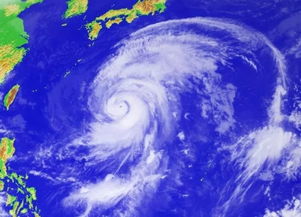 哪些航班因台风“韦帕”取消?深圳台风“韦帕”取消了机场航站楼的轮渡