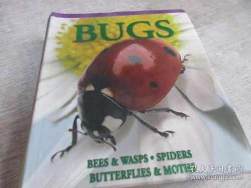 bugs bunny，bugs下载