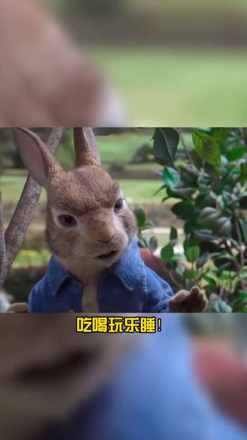 细细的什么填空词语二年级，细细的什么动词