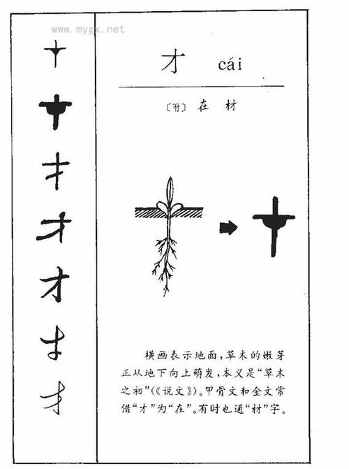 才得笔顺
