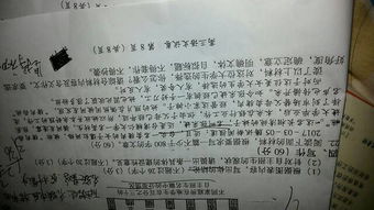 走自己的路作文600字记叙文，走自己的路作文800字
