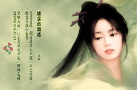 木兰花张先龙头舴艋吴儿竞拼音版，木兰花张先相离徒有翻译