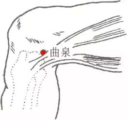 曲泉穴的准确位置图及按摩手法