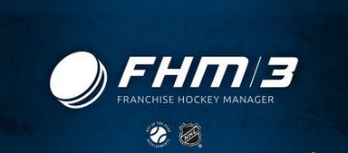 franchise是什么意思