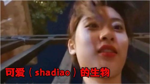 天知道许嵩，天知道我有多爱你