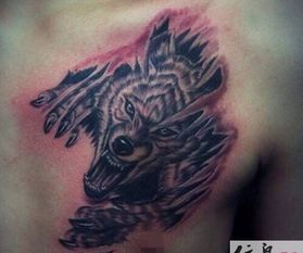 凶猛的意思是什么?近义词是什么，凶猛的意思是什么解释