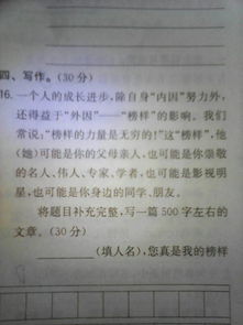 关于榜样的作文5篇