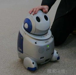 发明保姆机器人的原因是什么