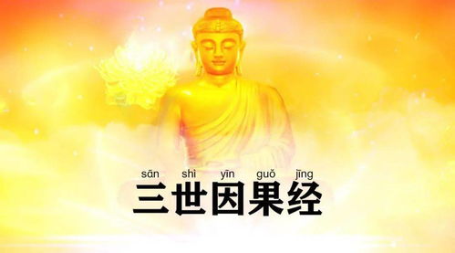 因果拼音怎么读，因果拼音声调