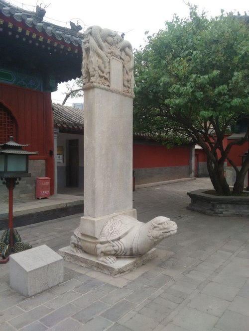 圮圯，圮是什么意思