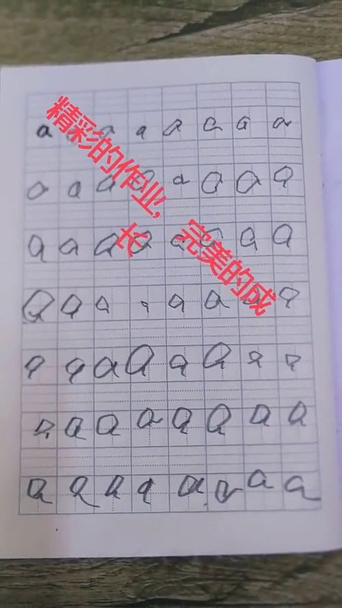 作业拼音怎么读，学前班暑假作业拼音
