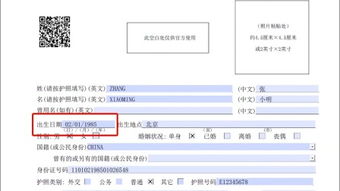 填写的拼音，填写志愿在哪个网站