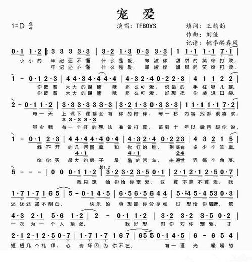 每一个人都值得被宠爱歌词，我只想对你对你宠爱歌词
