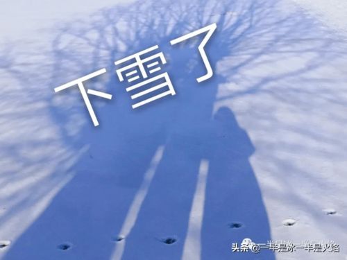 重逢的意思