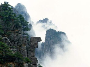 ()山峻岭
