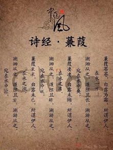 关雎和蒹葭译文，蒹葭译文下列说法有误的是