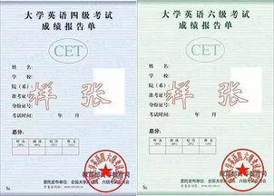 大学英语四六级改革几次，大学英语四六级改革方案