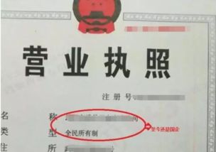 生产资料所有制是什么意思，集体所有制是什么意思