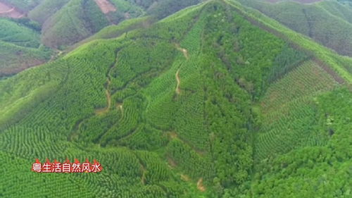 龙脉风水宝地图片，葫芦形风水宝地图片