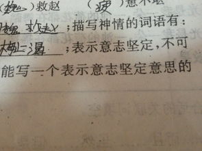 坚强是什么意思