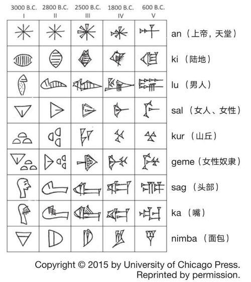 有关汉字的资料有哪些?
