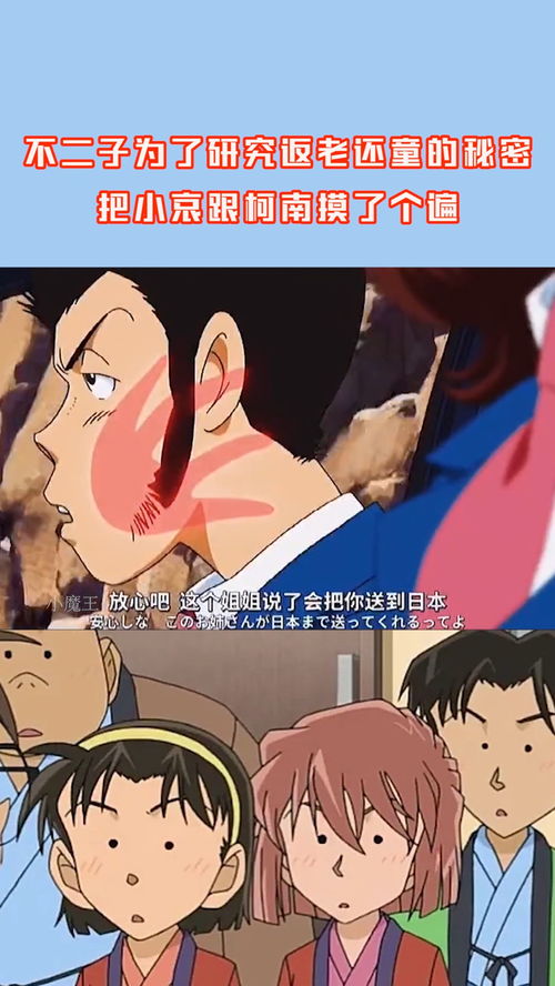 古代二子寓意为是两个孩子还是两个儿子