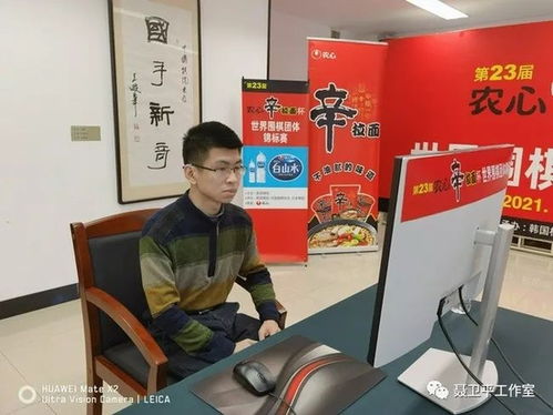 白璧微瑕，白璧微瑕什么意思
