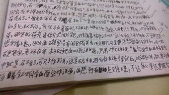 我的启蒙老师作文