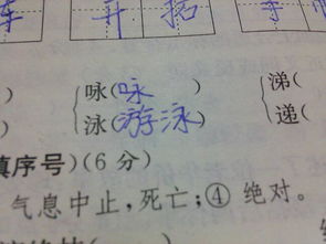 阔的组词有哪些呢