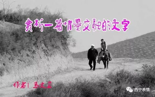 情景交融的优美句子