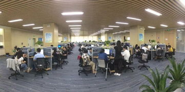 公司员工团建活动方案大全8篇