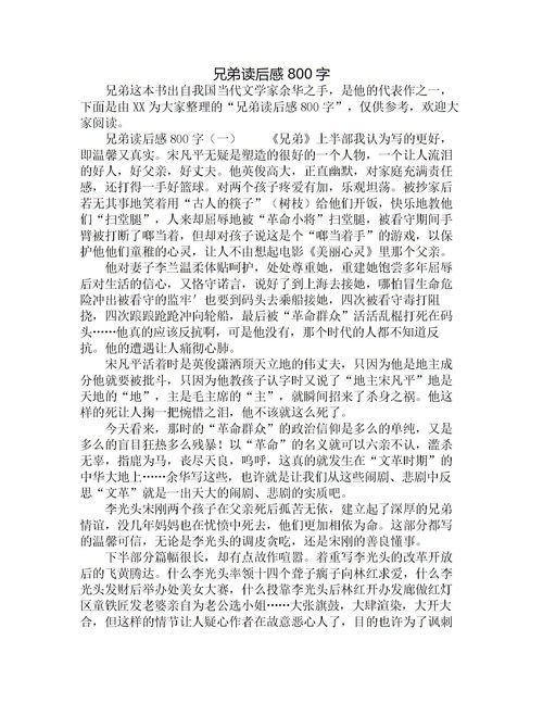 兄弟读后感2000字，兄弟读后感300字左右