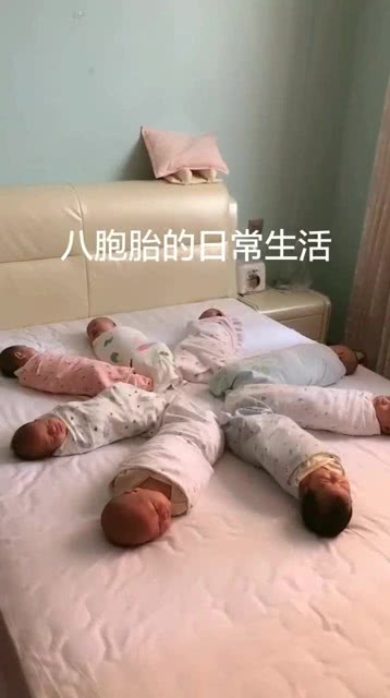 八胞胎事件湛江八胞胎，八胞胎的肚子有多大