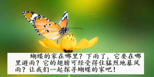 Abb形容蝴蝶的词语，带有蝴蝶的词语