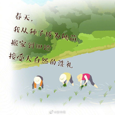成长的故事作文500字，成长的故事开头