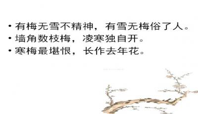 《梅花魂》教学设计