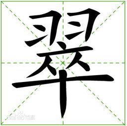 羽怎么写