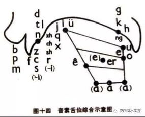 耀怎么读写，翘怎么组词
