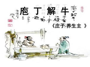 以无厚入有间,恢恢乎其于游刃必有余地矣,这句话是什么意思?