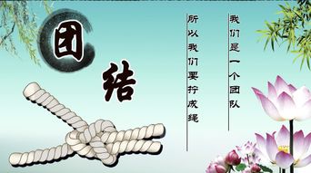团结的词语四字词语，团结的成语有哪些