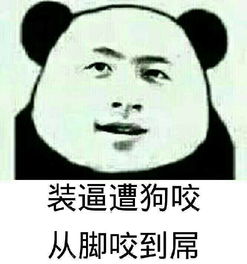 就在此刻我要告诉你歌词