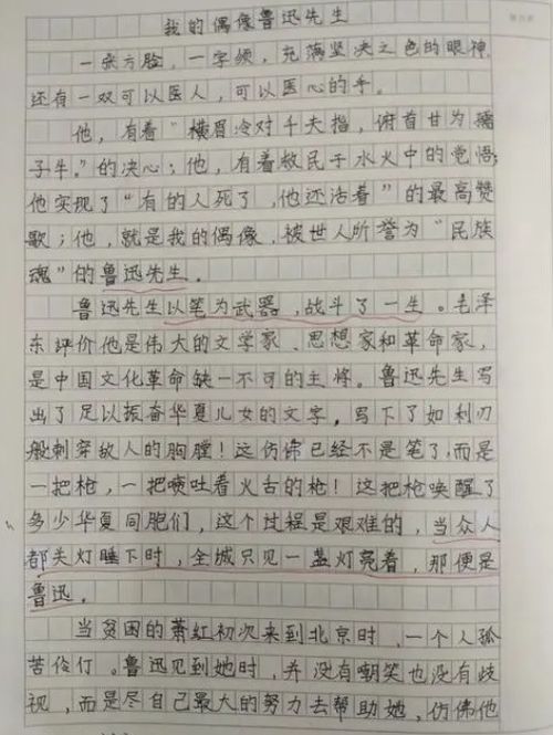 我的偶像作文400字