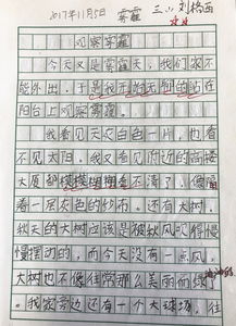 关于实验的作文400字左右，关于实验的作文400字