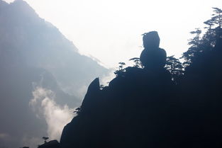 《山中问答》(李白)这首诗是什么意思?