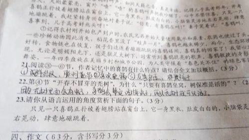 《喜鹊》阅读短文答案，《喜鹊》