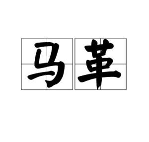 马革裹尸的典故的来历，马革裹尸的拼音