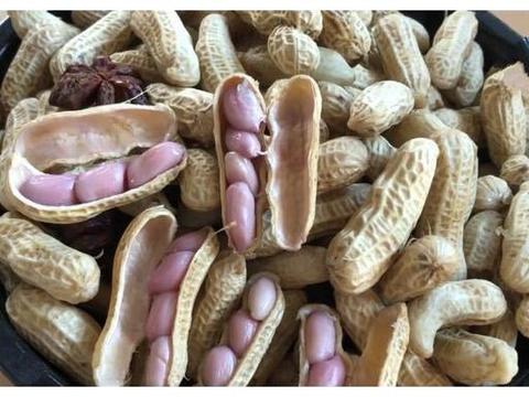 长生果指的是什么