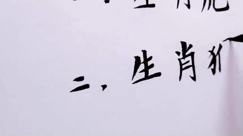 细心和心细是一个意思吗?